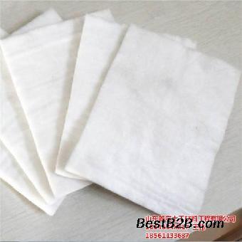 土工材料在線咨詢指南 了解土工布與土工膜的應(yīng)用與優(yōu)勢(shì)