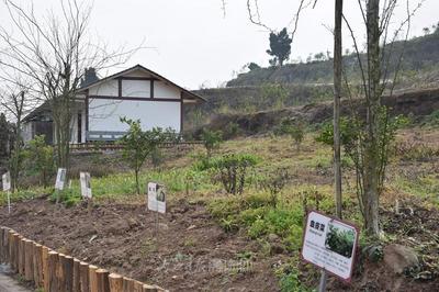 內江 以“產業(yè)融合+研學實踐”雙輪驅動，探索中醫(yī)藥傳承創(chuàng)新與智能化工程新路徑