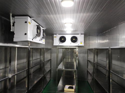 智能化安裝工程 構(gòu)建未來(lái)高效安全的工作與生活空間